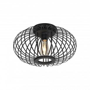 Ceiling light  RACOON 11410-18