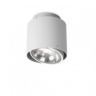 Spot TUBA distance 111x1 Phase-Control surface mounted white structure 45603-0000-T8-PH-13